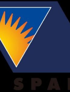 SPARX Group