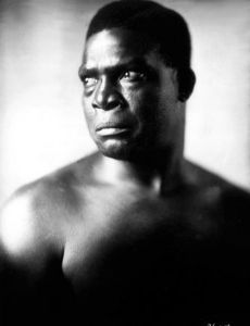 Lewis Brody
