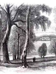 Charles Jack
