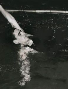 Al Vande Weghe