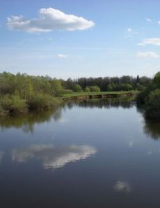 Izh River