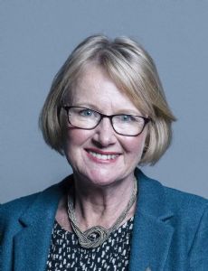 Mary Watkins, Baroness Watkins of Tavistock