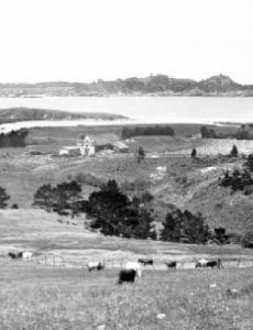 Hatton Fields