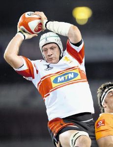 Wikus van Heerden