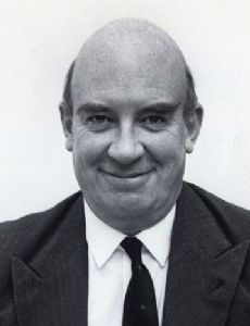 Peter Hayman (diplomat)