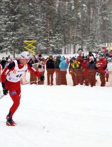 Frode Estil