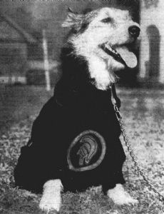 George Tirebiter