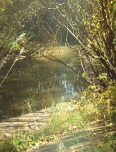 Yegoshikha River