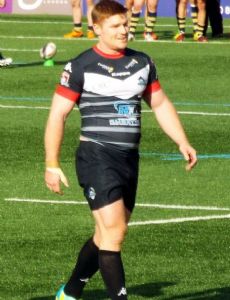 Mark Offerdahl
