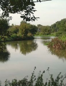River Stort