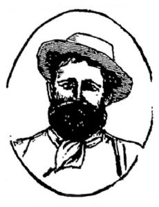 William Downes (cricketer)