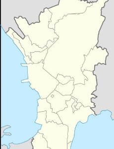 Deaths of Kian delos Santos, Carl Arnaiz and Reynaldo de Guzman
