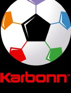 2011 SAFF Championship