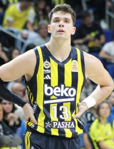 Tarik Biberovic