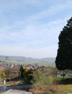 Wil, Zürich