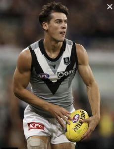 Connor Rozee