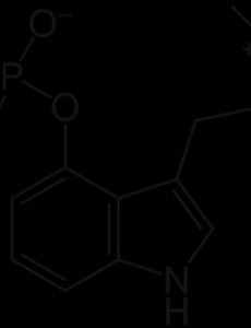Psilocybin