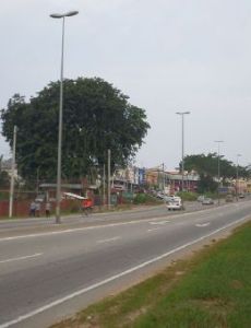 Sri Gading
