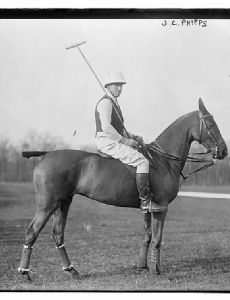John Shaffer Phipps