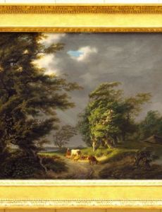 Hermanus van Brussel