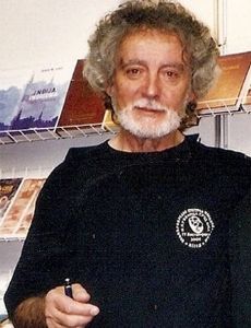 Dobrica Erić
