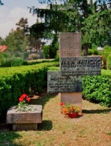 Mina Witkojc