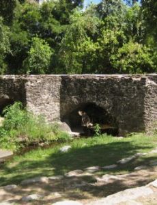 Espada Acequia