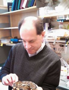 David Julius