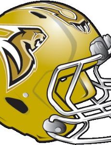 Sacramento Mountain Lions