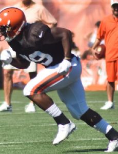 Duke Johnson