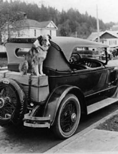 Bobbie the Dog