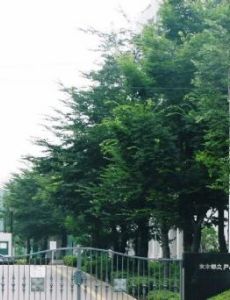 Tokyo Metropolitan Toyama High School