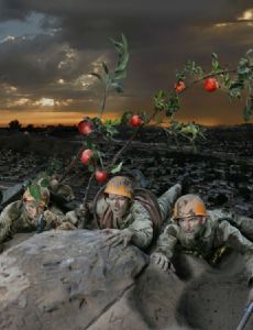 Fallen Fruit