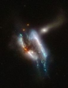 IC 2431