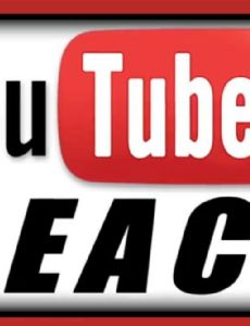 YouTubers React