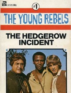 The Young Rebels