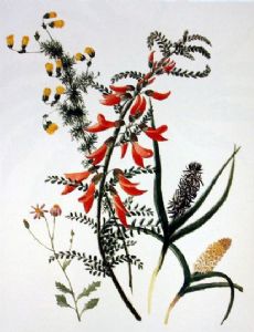 Anna Maria Truter