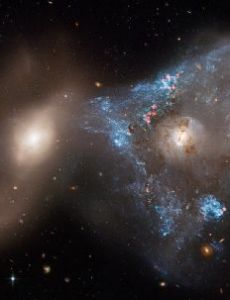 NGC 2445