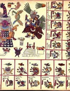Codex Borbonicus