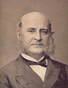 Francisco de Sales Torres Homem, Viscount of Inhomirim