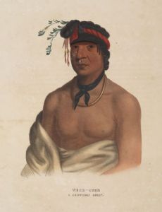 Ozaawindib