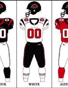 Ottawa Renegades