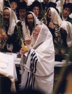 Naftali Halberstam