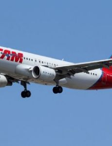 Domestic flight