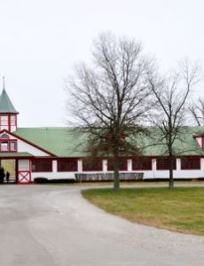 Calumet Farm