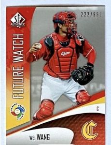 Wang Wei (baseball)