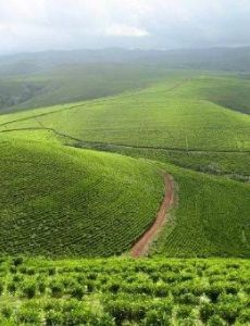 Taraba State