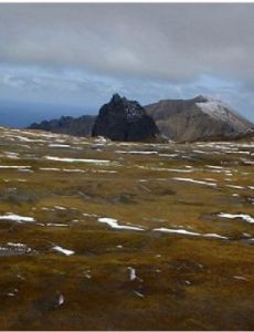 Gough and Inaccessible Islands