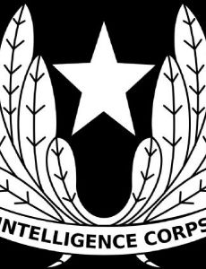 Directorate of Military Intelligence (India)