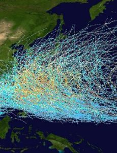 1941–44 Pacific typhoon seasons